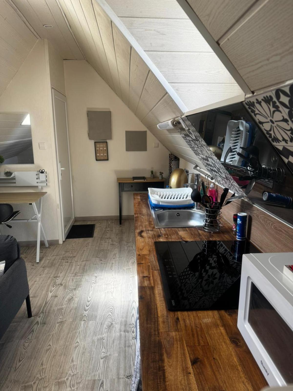 Apartamento Magnifique F2 Du Bonheur Besanzón Exterior foto